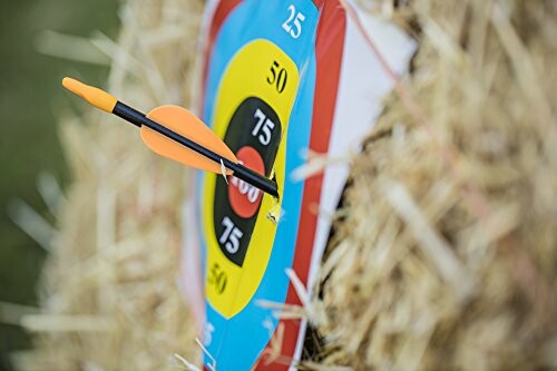 Arrow stuck in a colorful archery target on a hay bale.