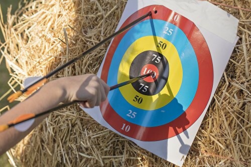 Close-up of a hand holding arrows on a colorful archery target.