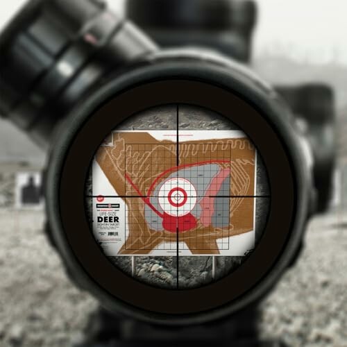 View through a rifle scope showing a target with concentric circles.